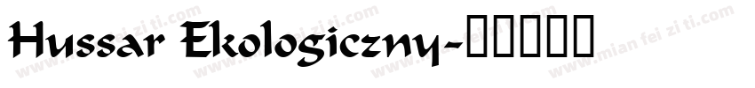 Hussar Ekologiczny字体转换